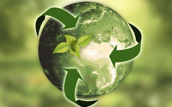 ecologia sostenibilità