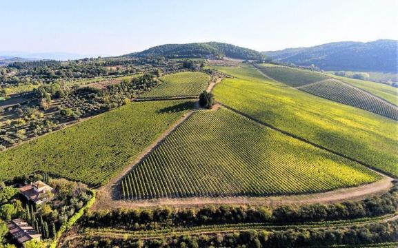 tignanello tignanello