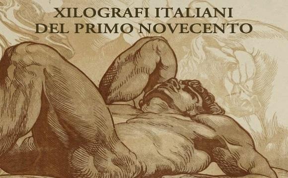 gonnelli xilo