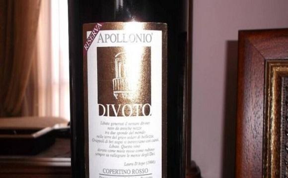 apollonio solidarietà