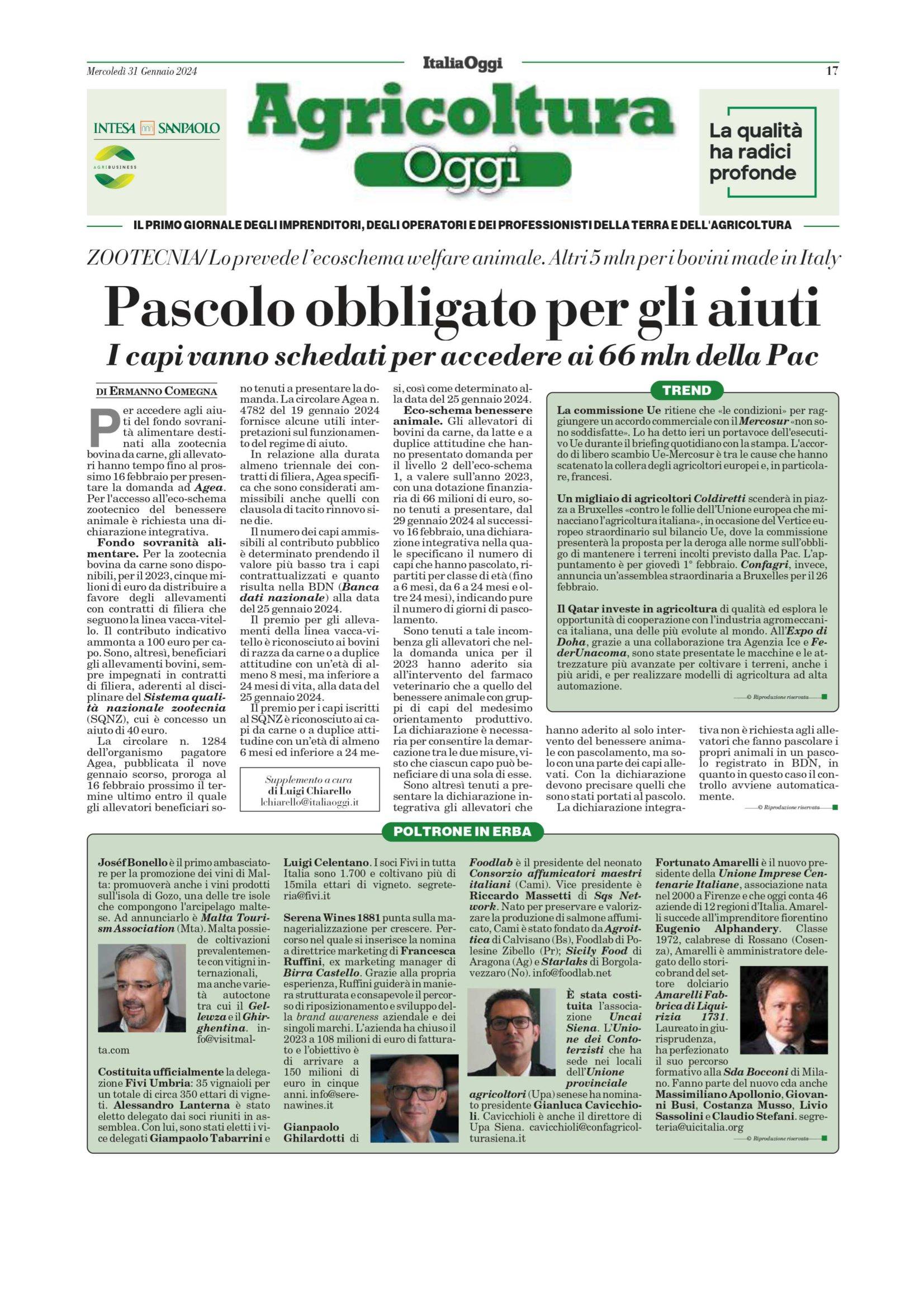 Italia Oggi – Poltrone in erba – 31 gennaio 2024