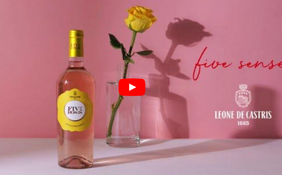 roses anniversario roses anniversario
