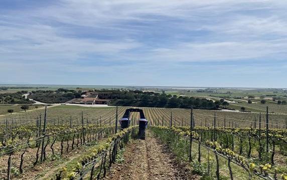 antinori robotica antinori robotica