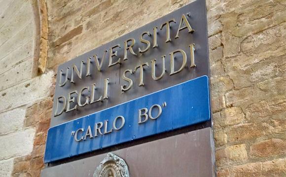 università urbino università urbino