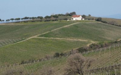 Gazzetta del Mezzogiorno – Aziende longeve, un patrimonio del territorio