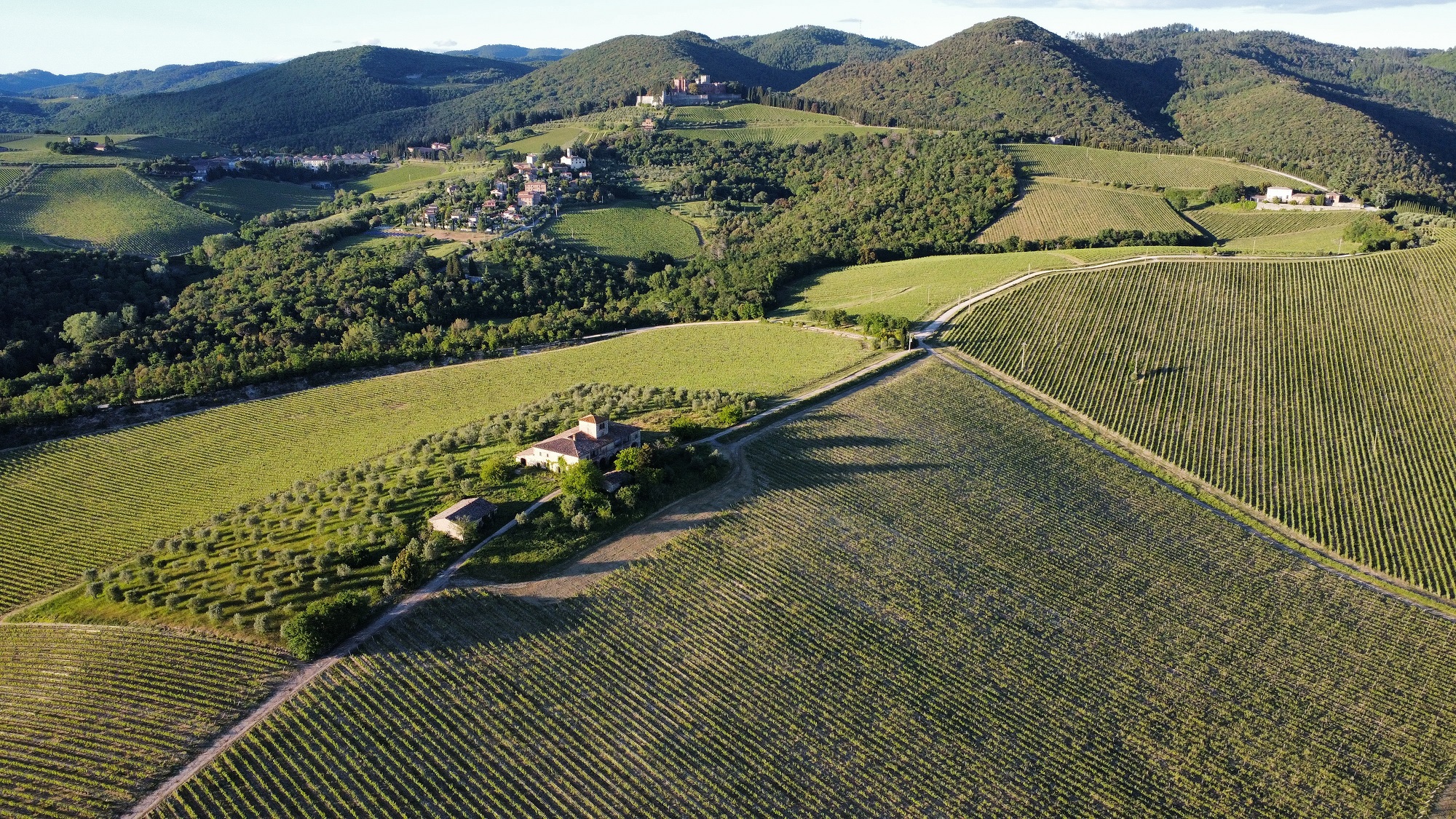 Ricasoli 2 – Copia